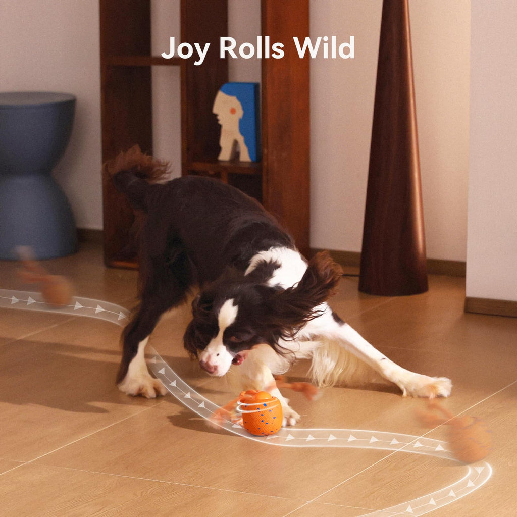 Cheerble Smart Interactive Dog Toy, Wicked Ball Rolly, Automatic Moving, Bouncing, Rotating, E-TPU Material, Active Rolling Interactive Dog Ball for Medium and Large Dogs (Blue)