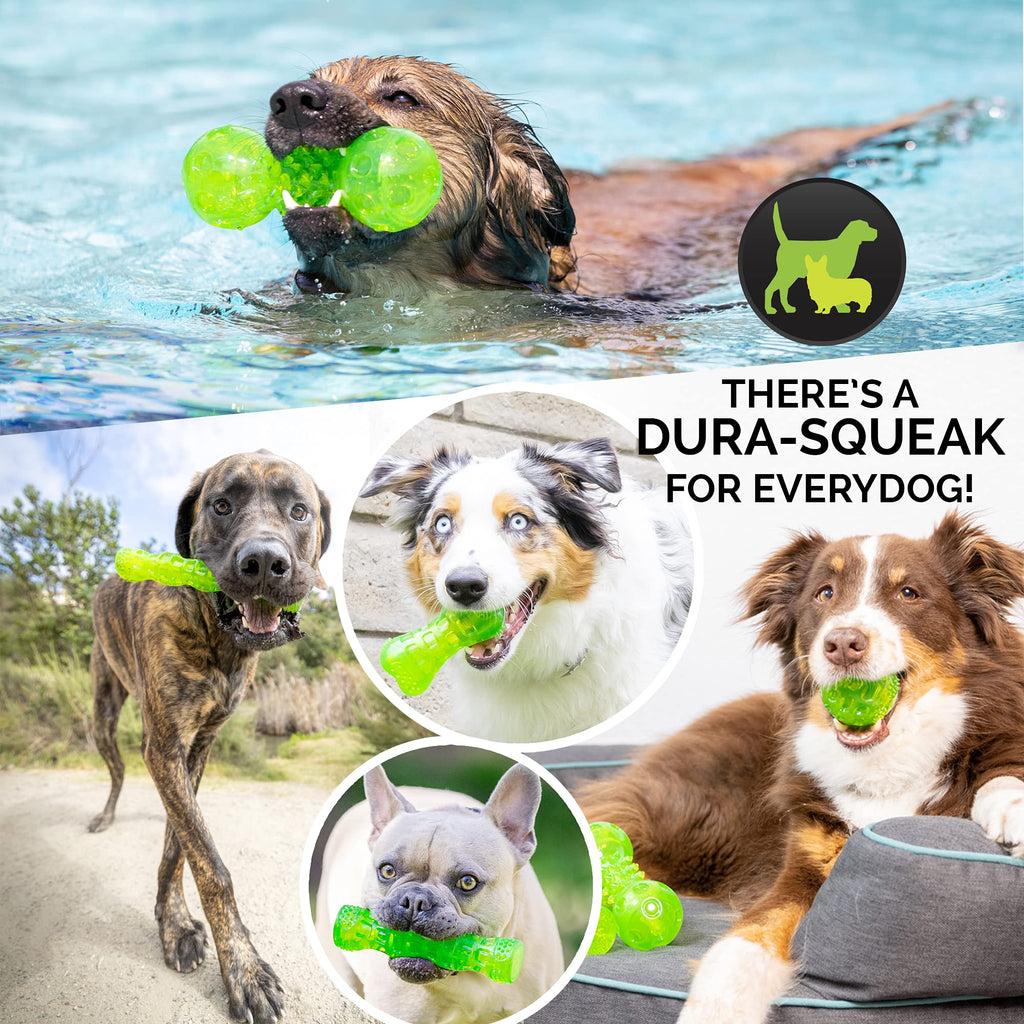 Hyper Pet Dura-Squeaks Stick Dog Toy, Large, Green