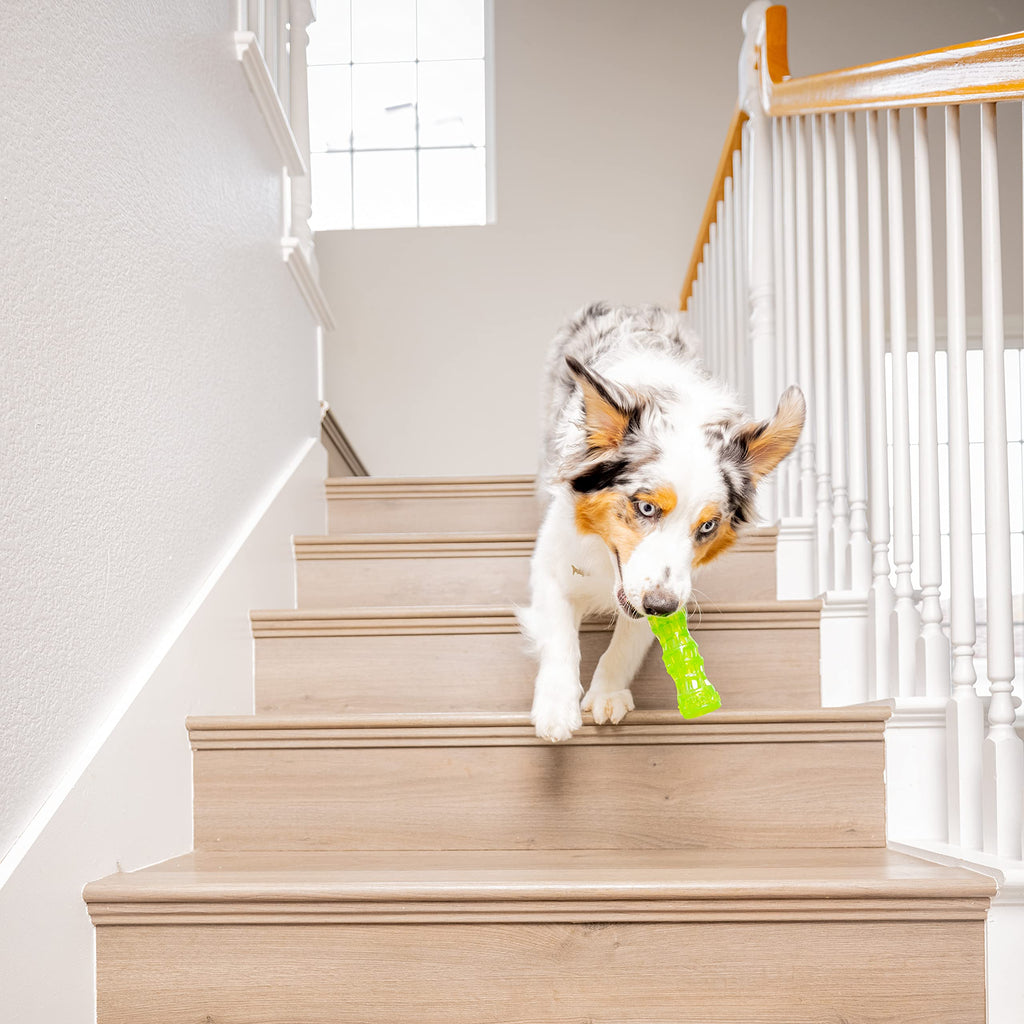 Hyper Pet Dura-Squeaks Stick Dog Toy, Large, Green