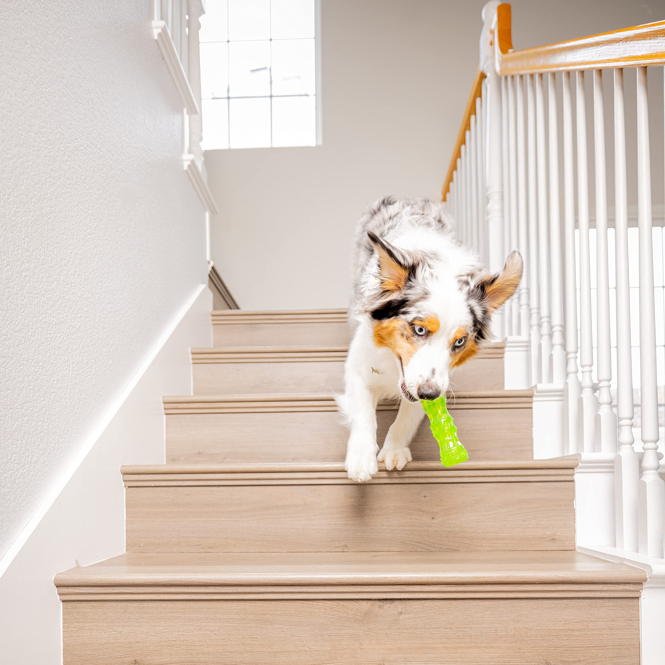 Hyper Pet Dura-Squeaks Stick Dog Toy, Large, Green