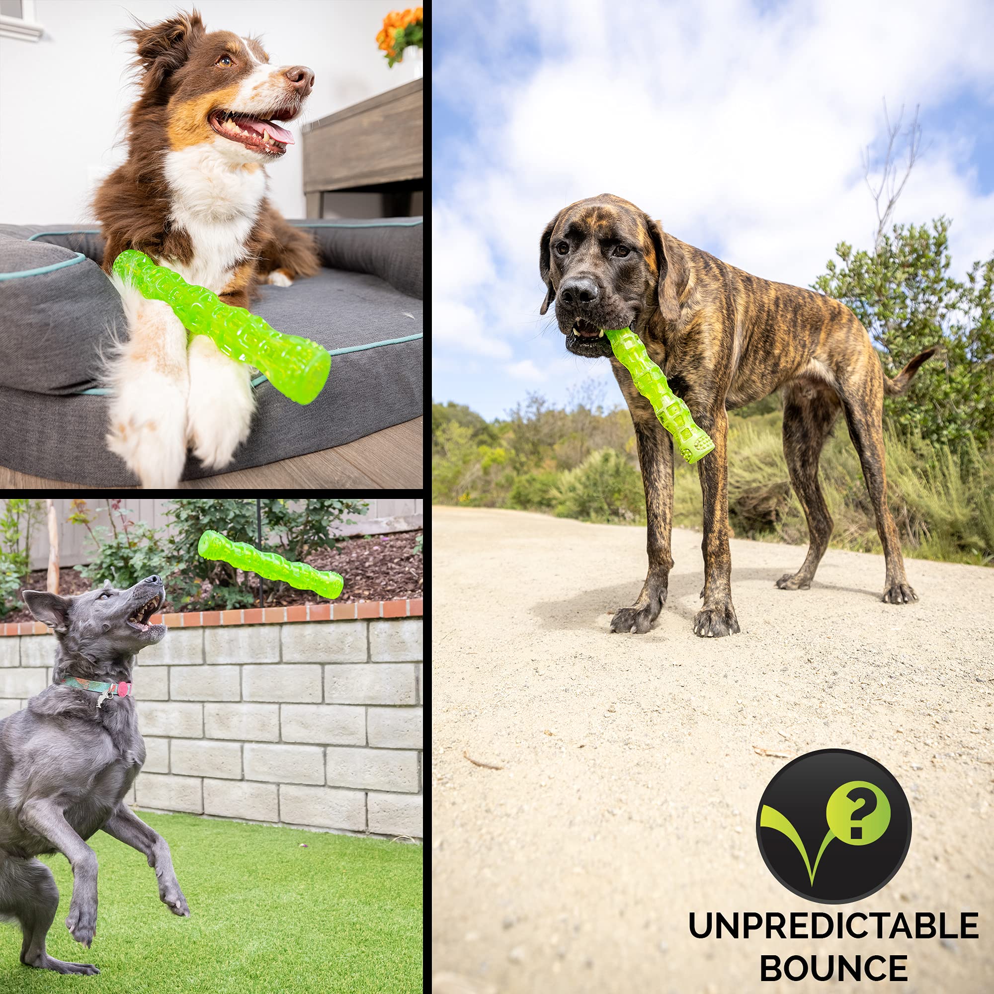 Hyper Pet Dura-Squeaks Stick Dog Toy, Large, Green